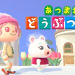 【ゲーム配信】あつ森🍃ハッピーホームパラダイス