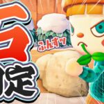 【あつ森】はじめての石固定チャレンジ💪アプデ前に島の石を一箇所に集めるよ！