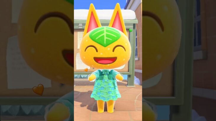 【あつ森】元気いっぱいヒャクパーちゃん集🍊