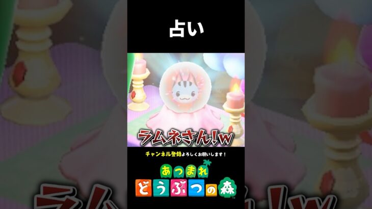 【あつ森】ラムネさんとの相性占い