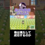 【あつ森】カブに島の全勢力をぶち込む。