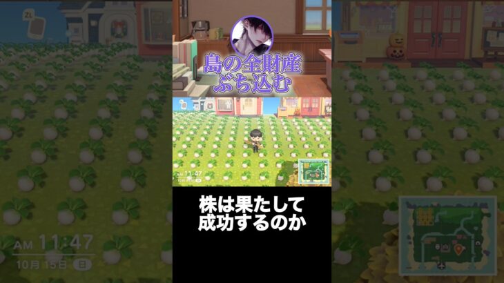 【あつ森】カブに島の全勢力をぶち込む。