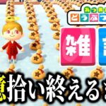 【あつ森雑談】２億ベル拾いきるまで終われません雑談
