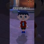 【ver.3.0】向きを正したい!!!!【あつ森】@ほのげ