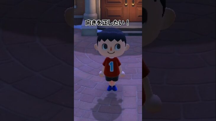 【ver.3.0】向きを正したい!!!!【あつ森】@ほのげ
