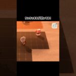 【あつ森】怒ってても可愛い過ぎるちゃちゃまる  #あつ森 #あつ森ちゃちゃまる #あつ森vlog