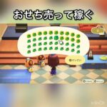 【あつ森】おせち売ってベル稼ぐ　#vlog #あつ森 #あつまれどうぶつの森 #こはくちゃんねる2424
