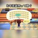 【あつ森】お年玉売ってベル稼ぐ　#vlog #あつ森 #あつまれどうぶつの森 #こはくちゃんねる2424
