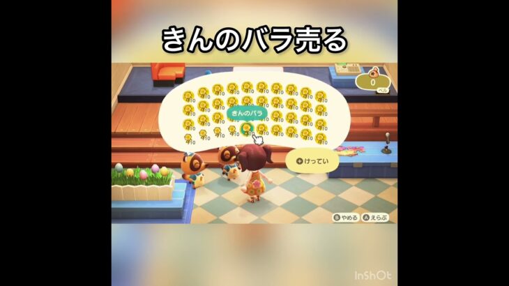 【あつ森】金バラ売ってみた　結果　ベル稼ぐ　#vlog #あつ森 #あつまれどうぶつの森 #こはくちゃんねる2424