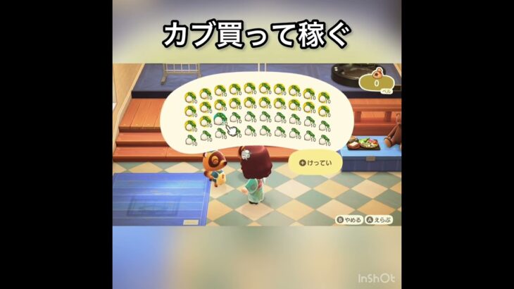 【あつ森】カブ売ってみた　結果　ベル稼ぐ　#vlog #あつ森 #あつまれどうぶつの森 #こはくちゃんねる2424