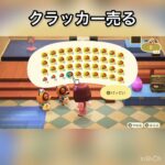 【あつ森】クラッカー売ってみた　結果　ベル稼ぐ　#vlog #あつ森 #あつまれどうぶつの森 #こはくちゃんねる2424