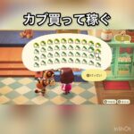 【あつ森】カブ売ってみた　結果　ベル稼ぐ　#vlog #あつ森 #あつまれどうぶつの森 #こはくちゃんねる2424