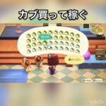 【あつ森】カブ売ってみた　結果　ベル稼ぐ　#vlog #あつ森 #あつまれどうぶつの森 #こはくちゃんねる2424