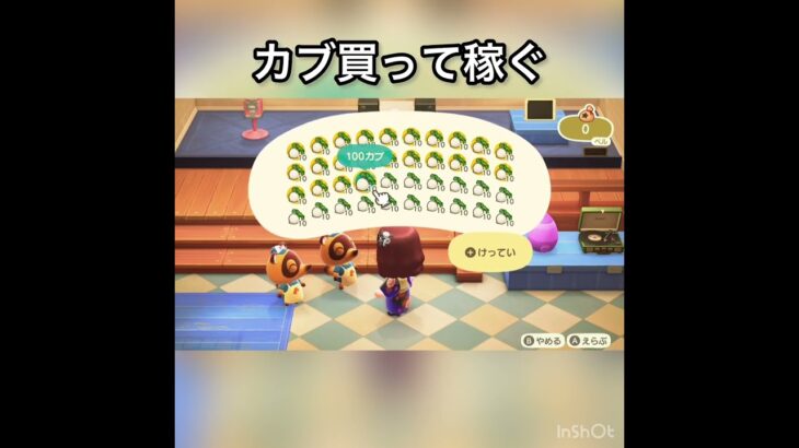 【あつ森】カブ売ってみた　結果　ベル稼ぐ　#vlog #あつ森 #あつまれどうぶつの森 #こはくちゃんねる2424