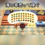【あつ森】海の幸売ってみた　結果　ベル稼ぐ　#vlog #あつ森 #あつまれどうぶつの森 #こはくちゃんねる2424