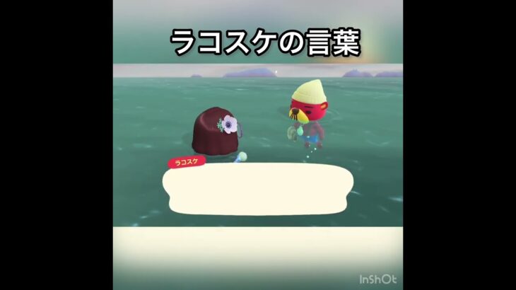 【あつ森　ラコスケ　#vlog #あつ森 #あつまれどうぶつの森 #こはくちゃんねる2424  】