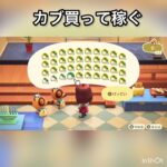 【あつ森】カブ売ってみた　結果　ベル稼ぐ　#vlog #あつ森 #あつまれどうぶつの森 #こはくちゃんねる2424