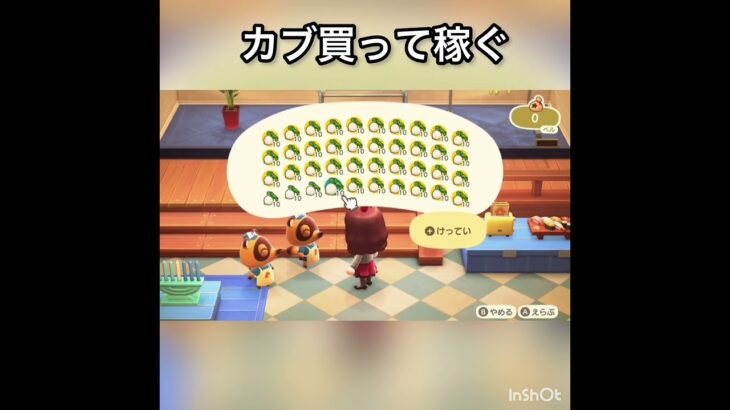 【あつ森】カブ売ってみた　結果　ベル稼ぐ　#vlog #あつ森 #あつまれどうぶつの森 #こはくちゃんねる2424