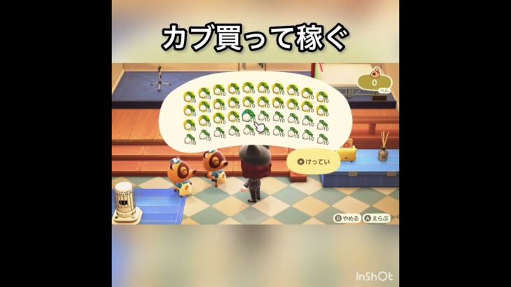 【あつ森】カブ売ってみた　結果　ベル稼ぐ　#vlog #あつ森 #あつまれどうぶつの森 #こはくちゃんねる2424