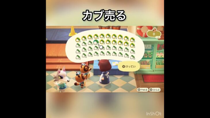 【あつ森】カブ売ってみた　結果　ベル稼ぐ　#vlog #あつ森 #あつまれどうぶつの森 #こはくちゃんねる2424