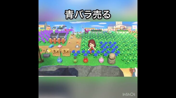 【あつ森】ズボラな私のベル稼ぎ　ベル稼ぐ　#vlog #あつ森 #あつまれどうぶつの森 #こはくちゃんねる2424