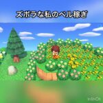【あつ森】ズボラな私のベル稼ぎ　結果　ベル稼ぐ　#vlog #あつ森 #あつまれどうぶつの森 #こはくちゃんねる2424