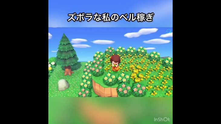 【あつ森】ズボラな私のベル稼ぎ　結果　ベル稼ぐ　#vlog #あつ森 #あつまれどうぶつの森 #こはくちゃんねる2424