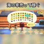【あつ森】海の幸売ってみた　結果　ベル稼ぐ　#vlog #あつ森 #あつまれどうぶつの森 #こはくちゃんねる2424