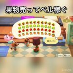 【あつ森】フルーツ売ってみた　結果　ベル稼ぐ　#vlog #あつ森 #あつまれどうぶつの森 #こはくちゃんねる2424