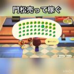 【あつ森】門松売ってベル稼ぐ　#vlog #あつ森 #あつまれどうぶつの森 #こはくちゃんねる2424