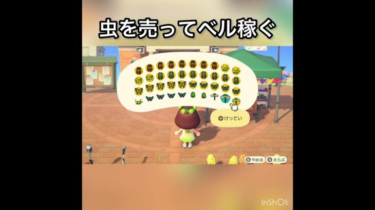 【あつ森】虫売ってみた　結果　ベル稼ぐ　#vlog #あつ森 #あつまれどうぶつの森 #こはくちゃんねる2424