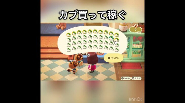 【あつ森】カブ売ってみた　結果　ベル稼ぐ　#vlog #あつ森 #あつまれどうぶつの森 #こはくちゃんねる2424
