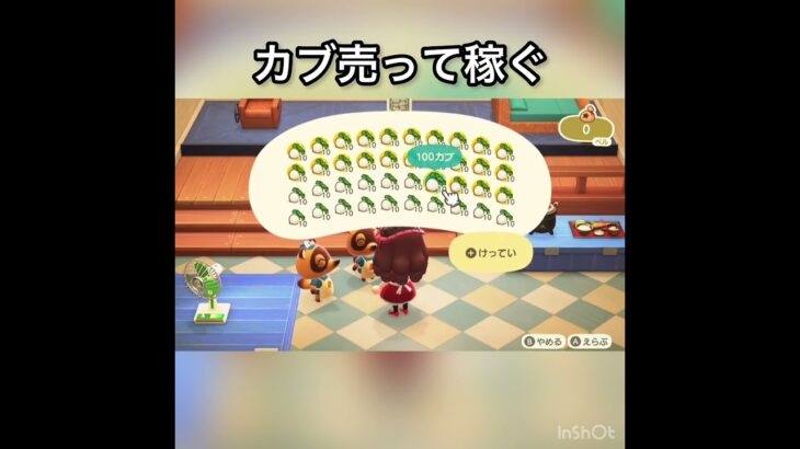 【あつ森】カブ売ってみた　結果　ベル稼ぐ　#vlog #あつ森 #あつまれどうぶつの森 #こはくちゃんねる2424