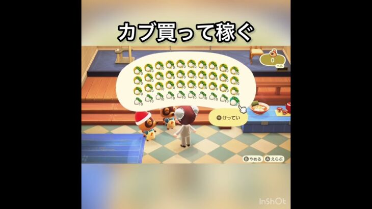 【あつ森】カブ売ってみた　結果　ベル稼ぐ　#vlog #あつ森 #あつまれどうぶつの森 #こはくちゃんねる2424