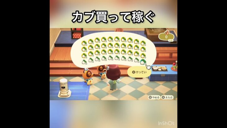【あつ森】カブ売ってみた　結果　ベル稼ぐ　#vlog #あつ森 #あつまれどうぶつの森 #こはくちゃんねる2424