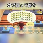 【あつ森】カブ売ってみた　結果　ベル稼ぐ　#vlog #あつ森 #あつまれどうぶつの森 #こはくちゃんねる2424