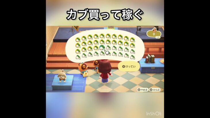 【あつ森】カブ売ってみた　結果　ベル稼ぐ　#vlog #あつ森 #あつまれどうぶつの森 #こはくちゃんねる2424