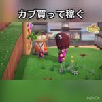 【あつ森】カブ売ってみた　結果　ベル稼ぐ　#vlog #あつ森 #あつまれどうぶつの森 #こはくちゃんねる2424