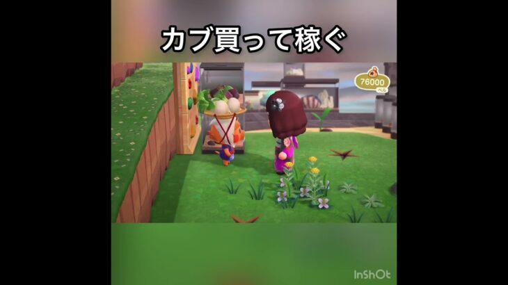 【あつ森】カブ売ってみた　結果　ベル稼ぐ　#vlog #あつ森 #あつまれどうぶつの森 #こはくちゃんねる2424