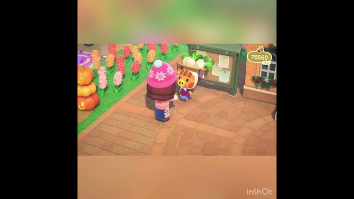 【あつ森】カブ売ってみた　結果　ベル稼ぐ　#vlog #あつ森 #あつまれどうぶつの森 #こはくちゃんねる2424