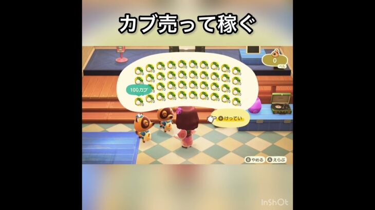 【あつ森】カブ売ってみた　結果　ベル稼ぐ　#vlog #あつ森 #あつまれどうぶつの森 #こはくちゃんねる2424