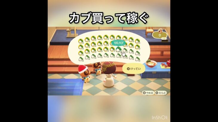 【あつ森】カブ売ってみた　結果　ベル稼ぐ　#vlog #あつ森 #あつまれどうぶつの森 #こはくちゃんねる2424