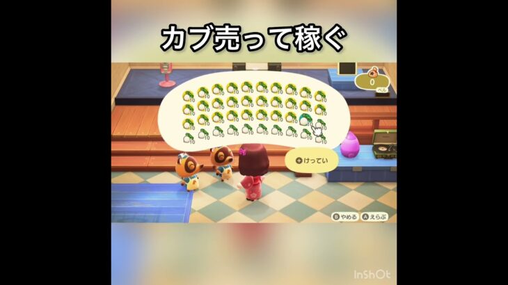 【あつ森】カブ売ってみた　結果　ベル稼ぐ　#vlog #あつ森 #あつまれどうぶつの森 #こはくちゃんねる2424