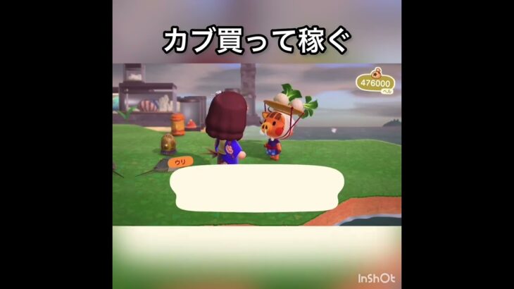 【あつ森】カブ売ってみた　結果　ベル稼ぐ　#vlog #あつ森 #あつまれどうぶつの森 #こはくちゃんねる2424