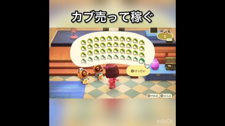 【あつ森】カブ売ってみた　結果　ベル稼ぐ　#vlog #あつ森 #あつまれどうぶつの森 #こはくちゃんねる2424