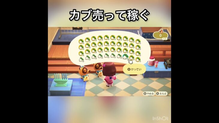【あつ森】カブ売ってみた　結果　ベル稼ぐ　#vlog #あつ森 #あつまれどうぶつの森 #こはくちゃんねる2424