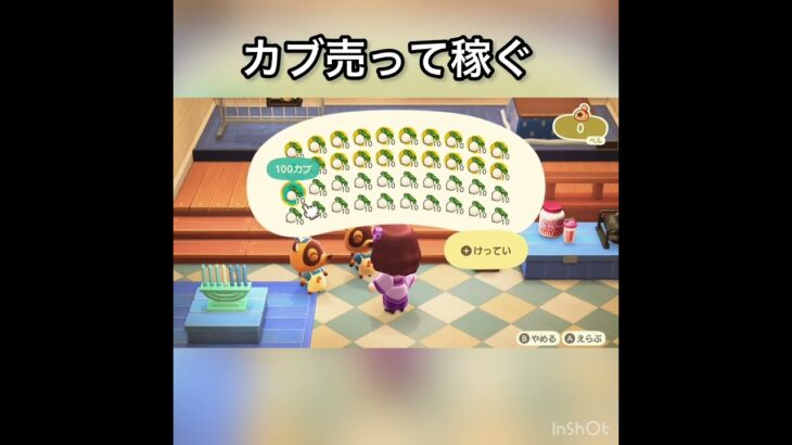 【あつ森】カブ売ってみた　結果　ベル稼ぐ　#vlog #あつ森 #あつまれどうぶつの森 #こはくちゃんねる2424