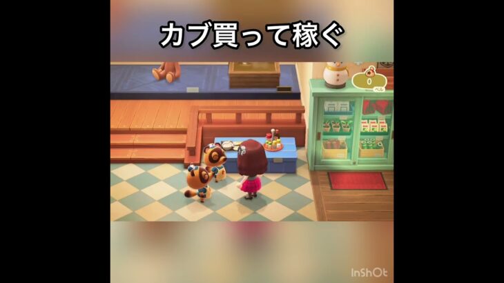 【あつ森】カブ売ってみた　結果　ベル稼ぐ　#vlog #あつ森 #あつまれどうぶつの森 #こはくちゃんねる2424