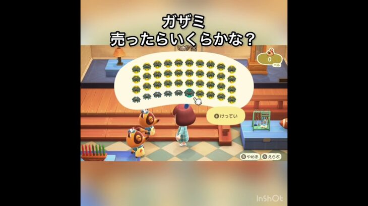 【あつ森】カ売ってみた　結果　ベル稼ぐ　#vlog #あつ森 #あつまれどうぶつの森 #こはくちゃんねる2424