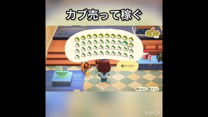 【あつ森】カブ売ってみた　結果　ベル稼ぐ　#vlog #あつ森 #あつまれどうぶつの森 #こはくちゃんねる2424